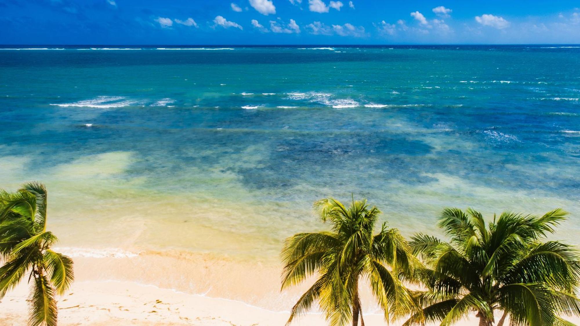 Palmar Beach Resort And Spa Riviera Maya Пуэрто-Морелос Экстерьер фото